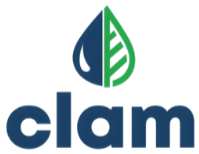 Clam